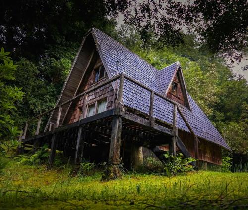 Ralun Patagonia in Puerto Varas, Chile