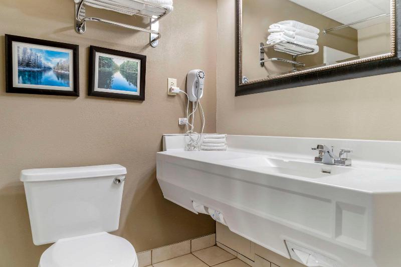 Comfort Inn Manistique MI - photo 43