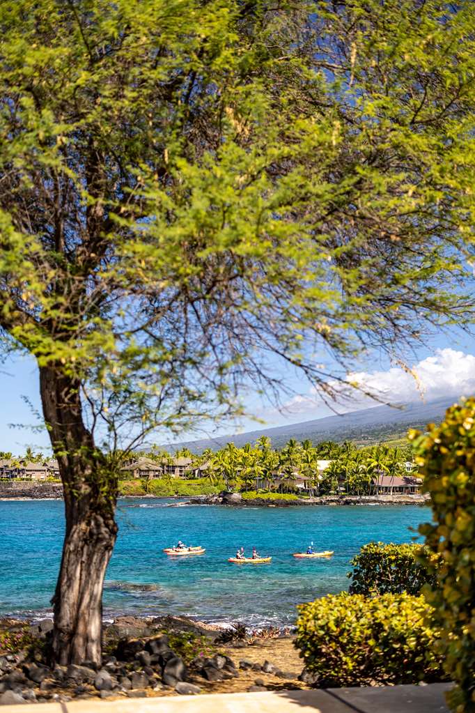 Outrigger Kona Resort & Spa - photo 161