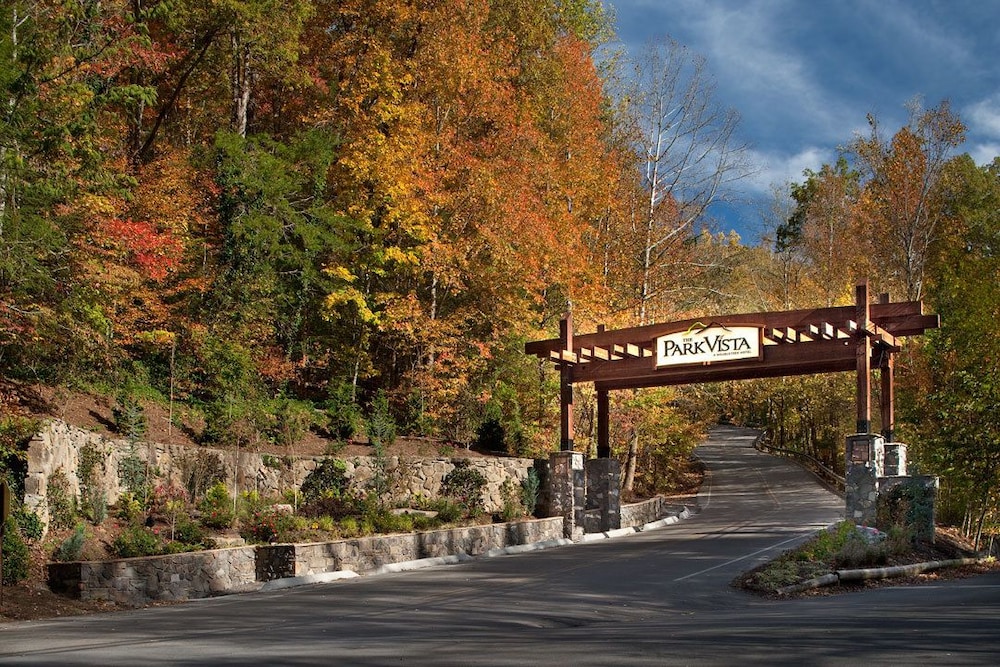 The Park Vista a DoubleTree by Hilton Hotel Gatlinburg - photo 50