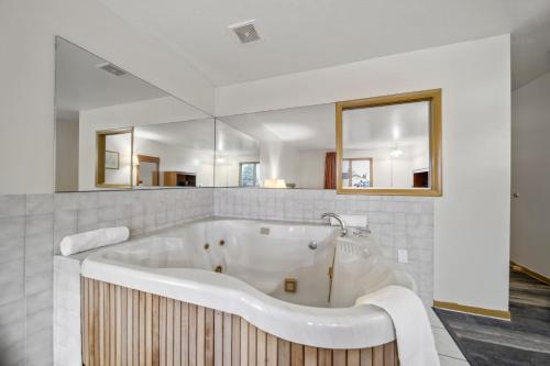 Executive Inn Cass City - photo 25