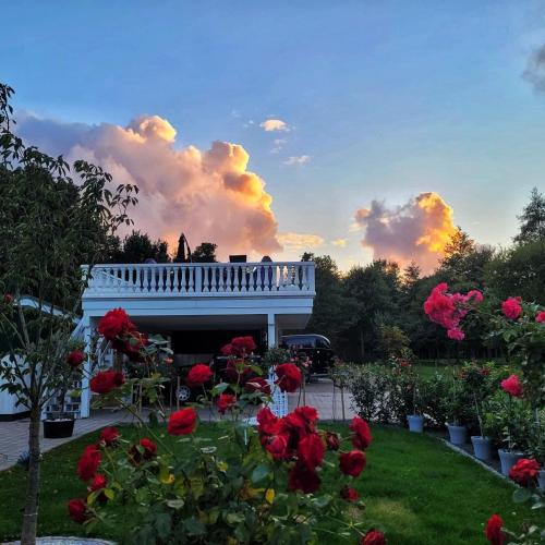 Boutique Hotel Art Zone Ranch — hotel in Osten