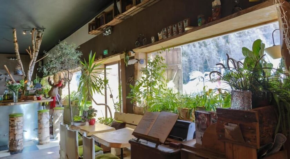 Hôtel Green Ecolodge — hotel in Saint-Martin-Vesubie