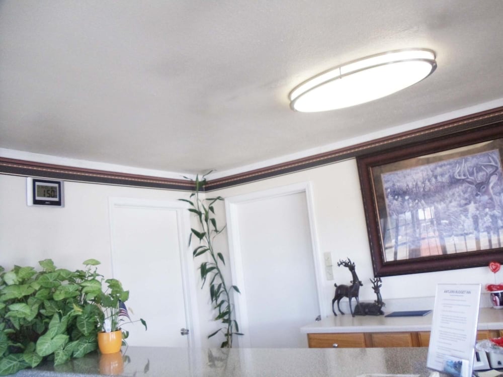 Antlers Budget Inn - photo 3