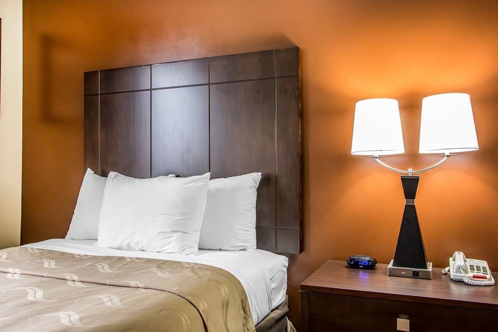 Quality Inn O'Hare Airport - photo 15