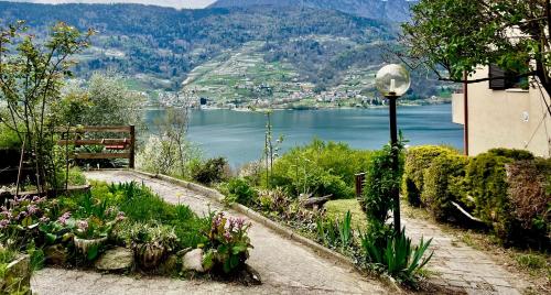 Lake Apartment Ischia Green Lago di Caldonazzo — 4-Star Luxury Hotel in Tenna, Italy