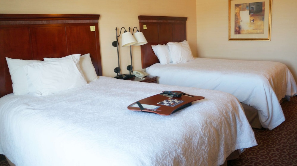Hampton Inn & Suites Kingman - photo 7