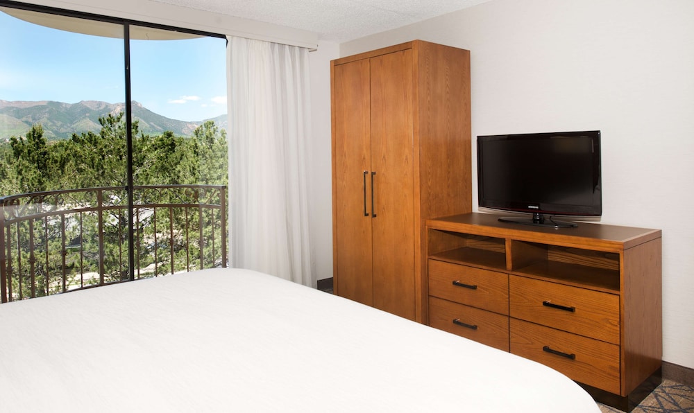 Embassy Suites by Hilton Colorado Springs - photo 31