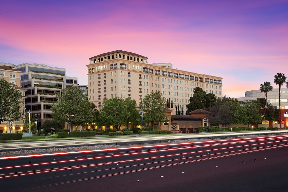 Juniper Hotel Cupertino Curio Collection by Hilton - featured photo