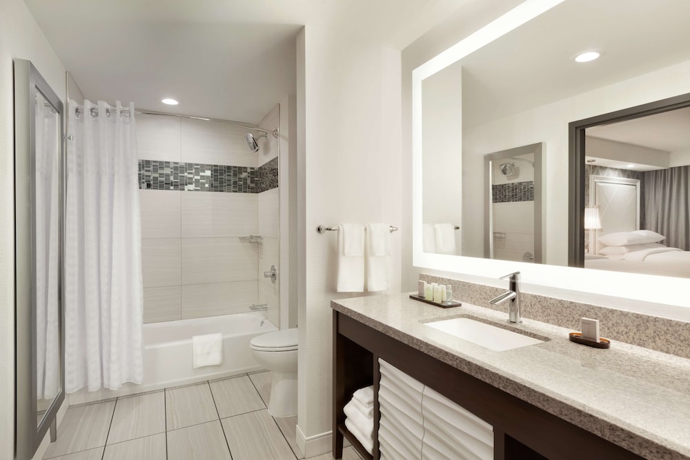 Embassy Suites by Hilton Atlanta NE Gwinnett Sugarloaf - photo 15