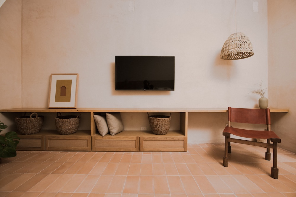 Television