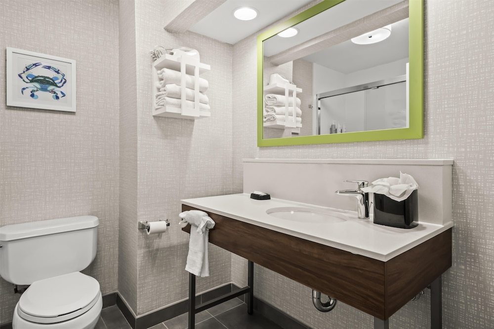 Hampton Inn Elkton - photo 19