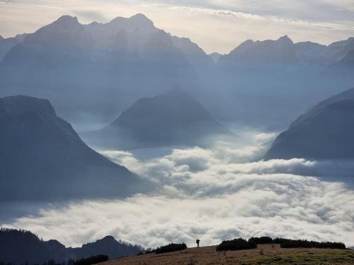 Comfy mountain nest — Mojstrana — photo 5