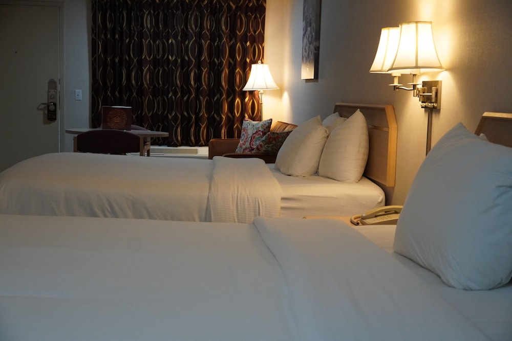 Timberland Inn & Suites - photo 32
