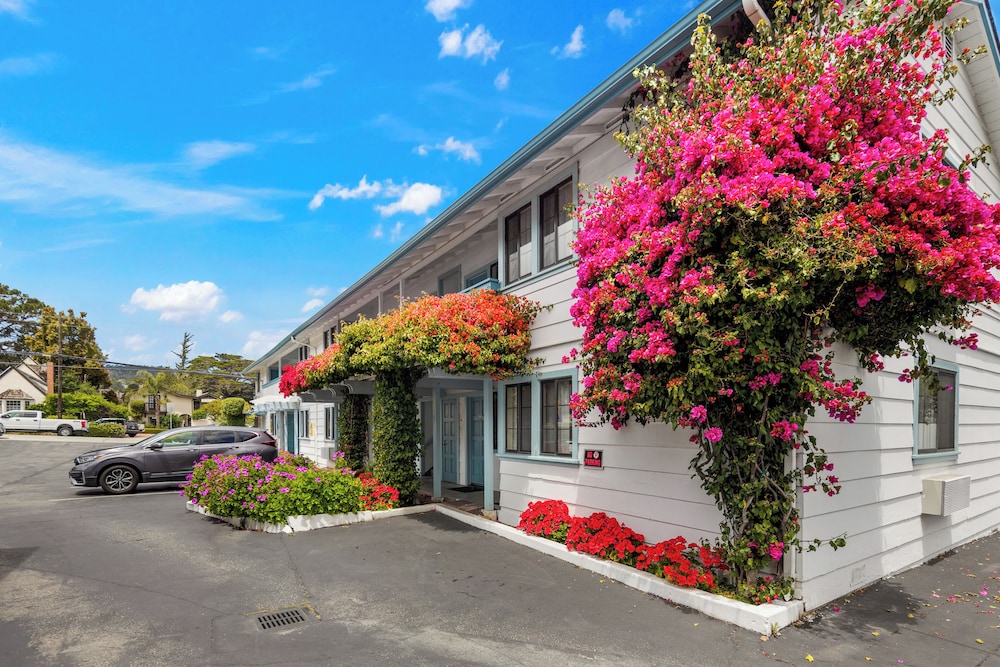 Arbor Inn Monterey - photo 40