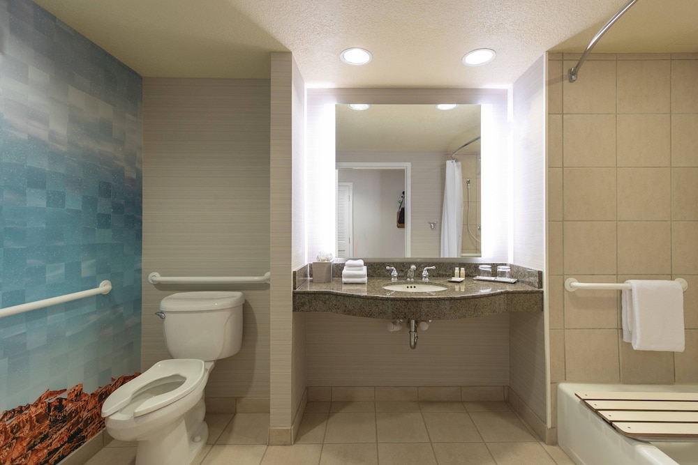 Renaissance Dallas Richardson Hotel - photo 27