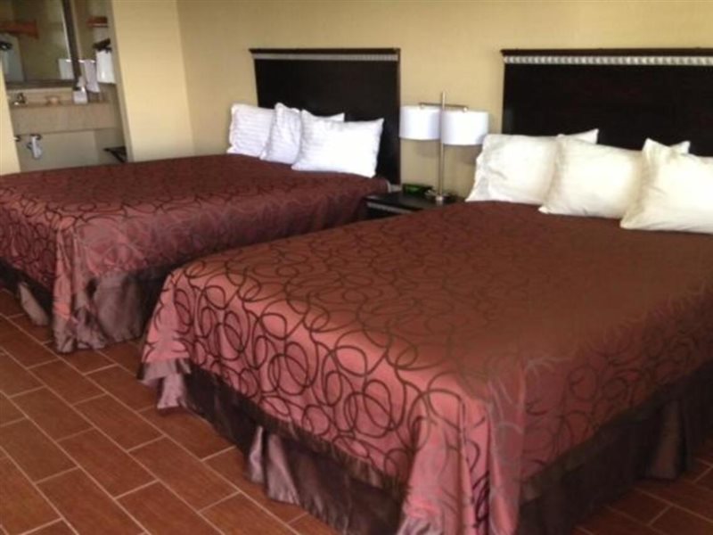 Studio Inn & Suites Kitchenettes - photo 7