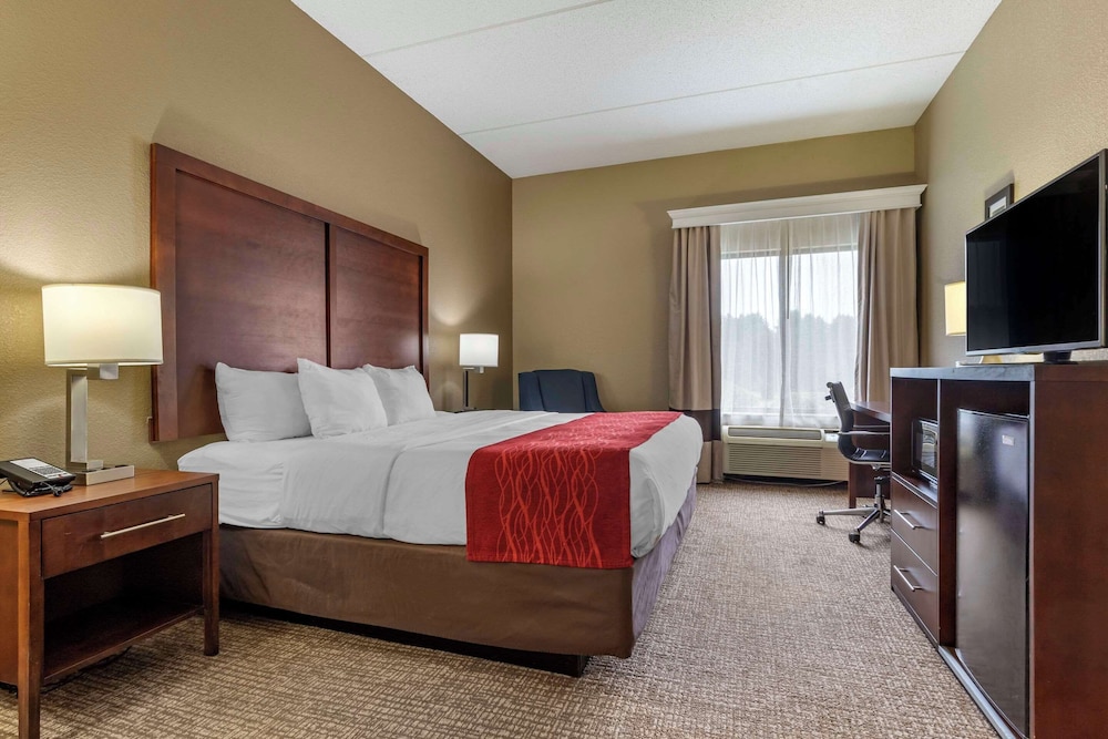 Comfort Inn & Suites Mocksville I 40 - photo 15