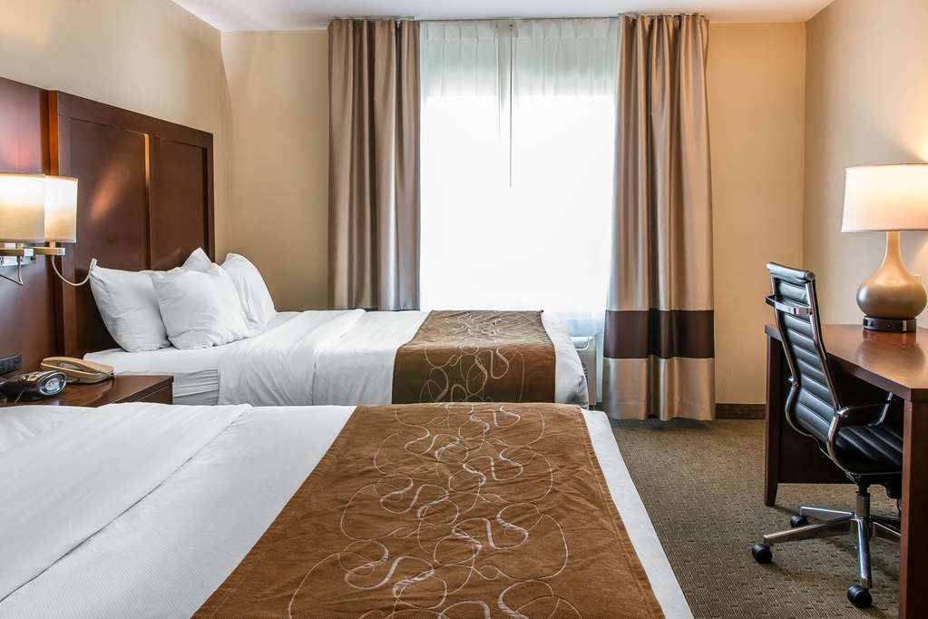 Comfort Suites Wixom Novi - photo 15