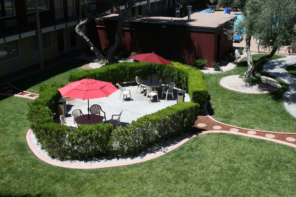 Mardi Gras Hotel & Casino - photo 44