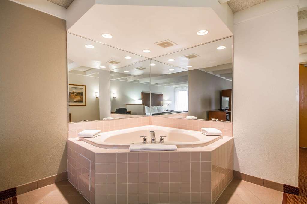Comfort Inn & Suites Madison Airport - photo 30