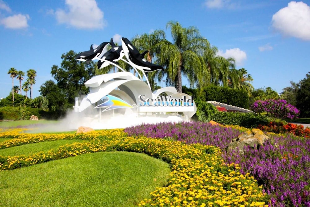518 Festival - photo 20