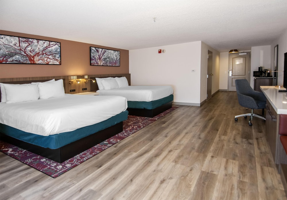Hilton Garden Inn Hattiesburg - photo 21