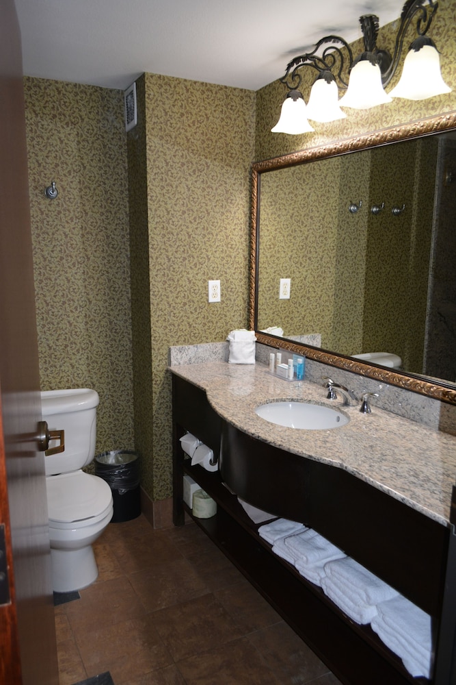 Hampton Inn & Suites Houston Katy - photo 21