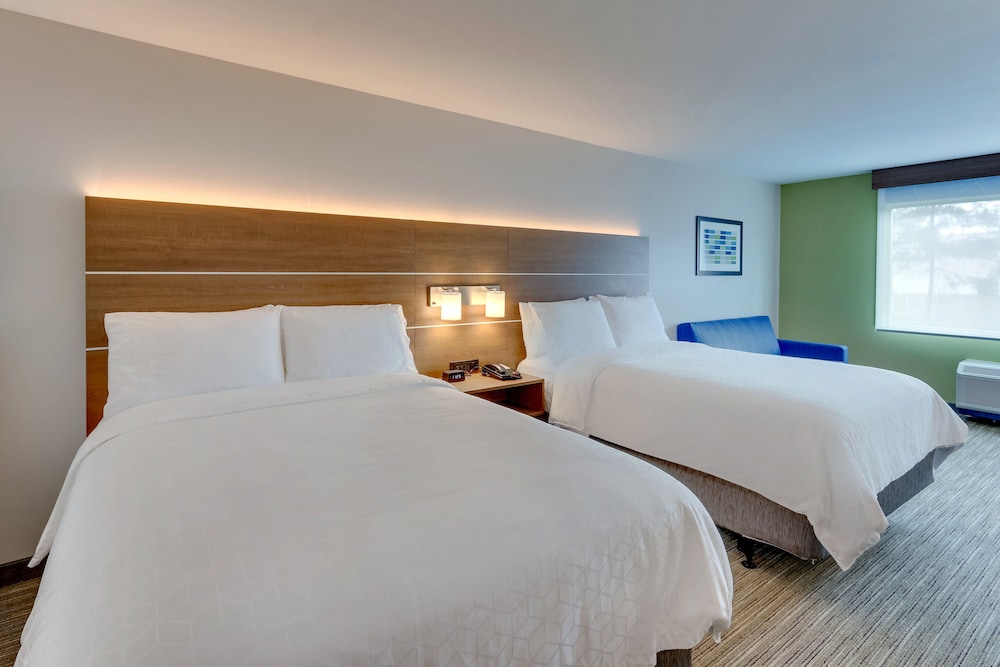 Holiday Inn Express & Suites Dawsonville by IHG - photo 16