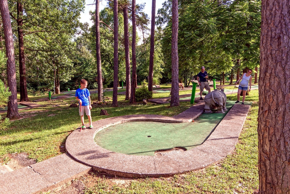 Pennyrile Forest State Resort Park - photo 26