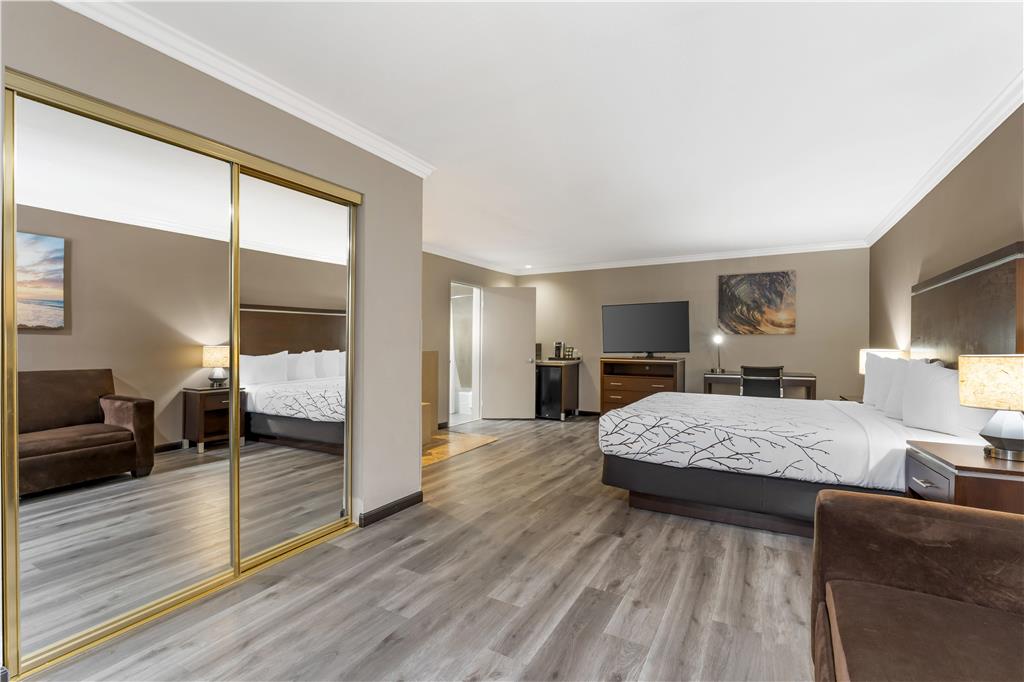 Best Western Redondo Beach Galleria Hotel Beach City LA - photo 19