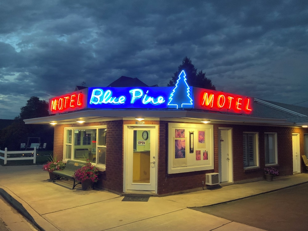 Blue Pine Motel - photo 26