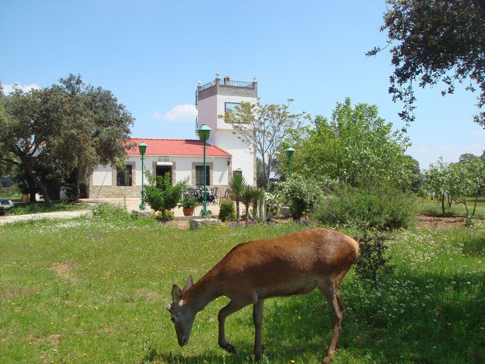 San José