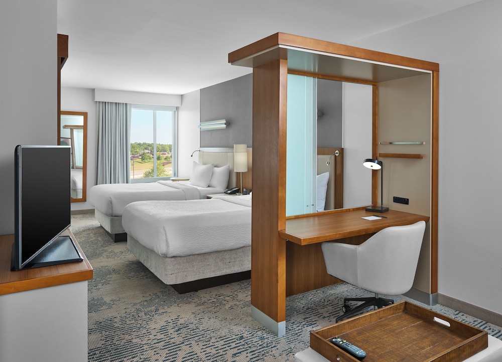 SpringHill Suites Lumberton - photo 8