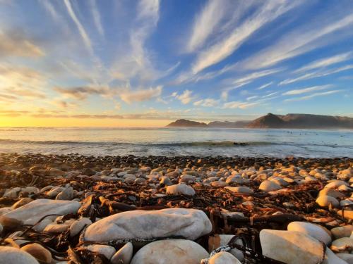 In a Forest by the Sea — 4-Star Luxury Hotel in Cape Town, South Africa