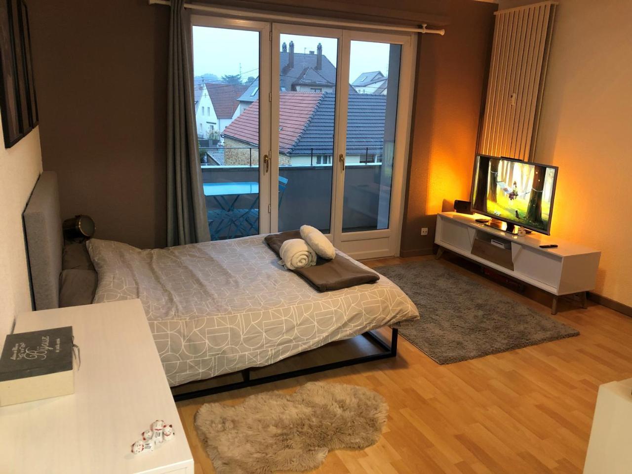 Cosy Adventure : Haguenau — hotel in Haguenau