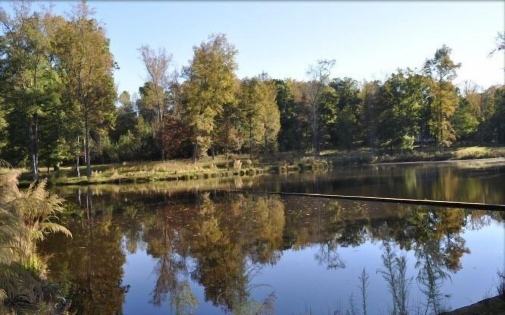 Ellerbe Springs - photo 14
