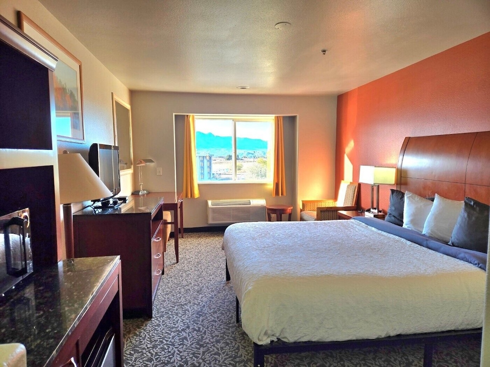 Olympia Inn - photo 7