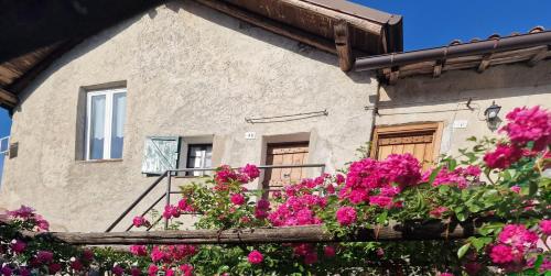 Cà di Sciutti - carbon neutral hotel in Unknown City