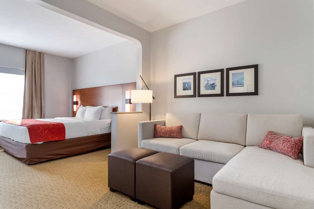 Comfort Suites La Porte Baytown - photo 24