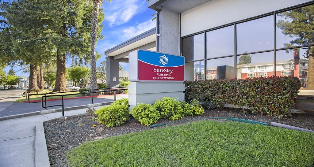 SureStay Plus Hotel by Best Western Sacramento North - photo 5