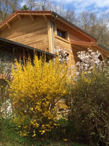 Les Sittelles de Bamboche — hotel in Saint-Symphorien-Sur-Coise