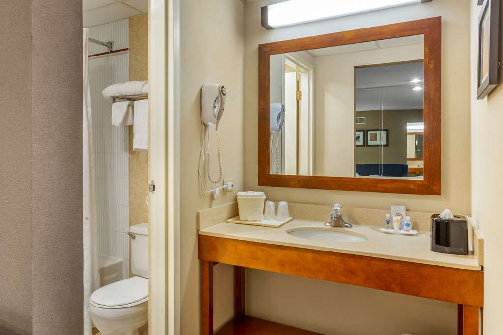 Comfort Suites Oakbrook Terrace near Oakbrook Center - photo 11
