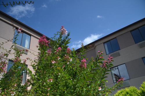 Smoky Mountain Inn & Suites - photo 12