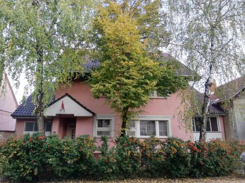 Balogh Vendeghaz in Szeged, Hungary