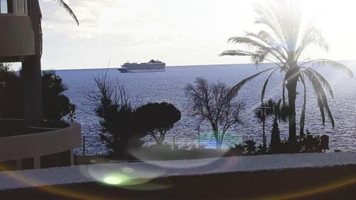 Doca do Cavacas Apartment — 4-Star Luxury Hotel in Funchal, Portugal