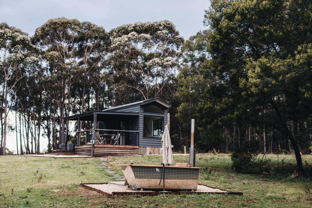 Wildernest in Unknown City, Australia