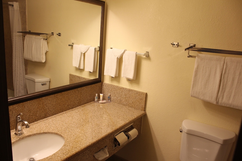Quality Hotel Americana Nogales - photo 29