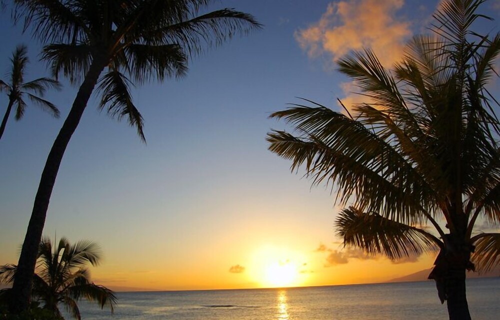 Hale Napili - photo 36