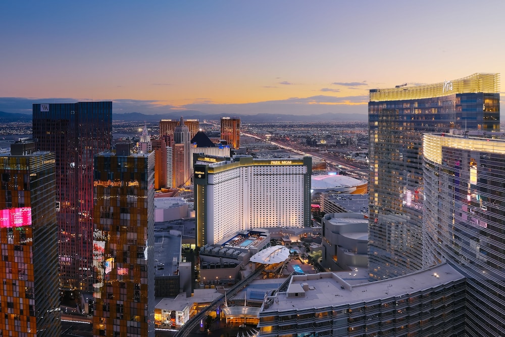 The Reserve at Park MGM - photo 70